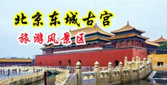 狠狠操荡妇黑逼淫叫视频中国北京-东城古宫旅游风景区